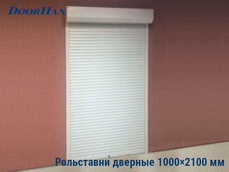 Рольставни на двери 1000×2100 мм в Белгороде от 25582 руб.