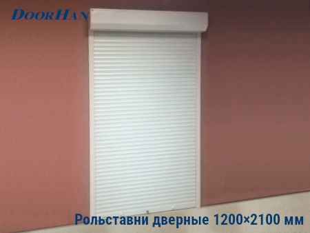 Рольставни на двери 1200×2100 мм в Белгороде от 28179 руб.
